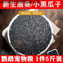 2025���º�����С���ӿ������Ϳ����W�^�Bʳ�}��Z���Z�ڹ����B�Z