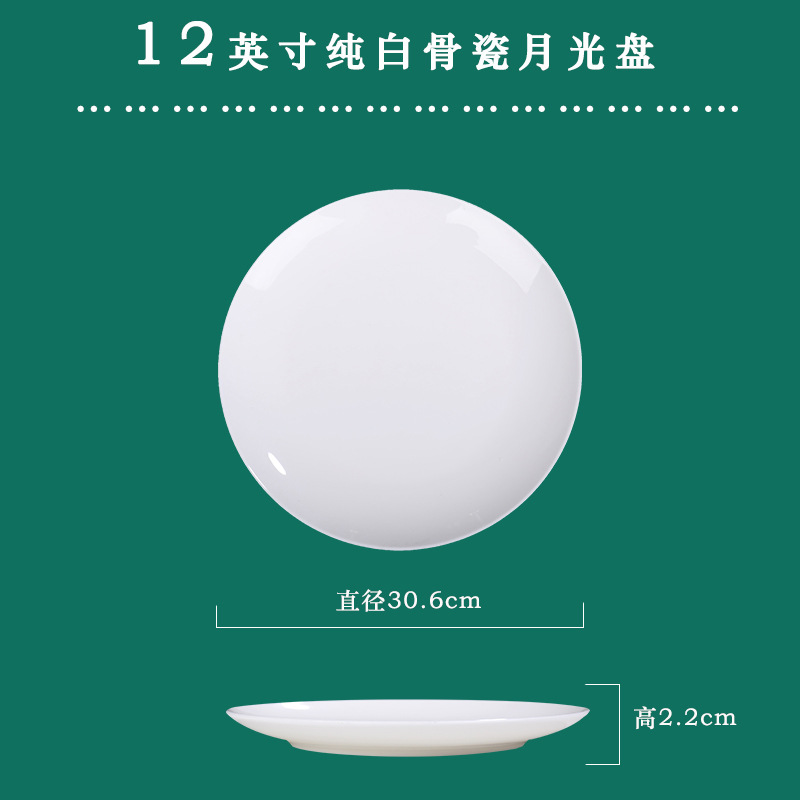 12 인치 문 CD