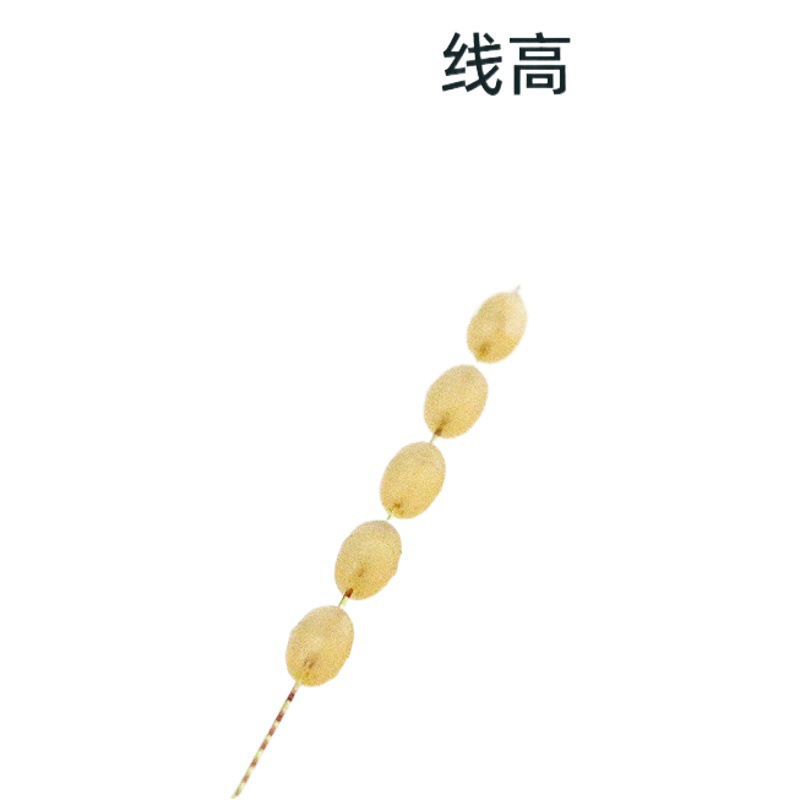 Transparent Silicone Space Bean Bulk 7+2 Olive Positioning Bean Competitive Anti-entanglement Bean Fishing Gear Accessories Large Quantity