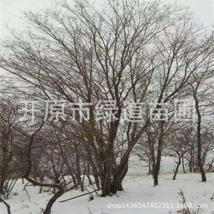 ������l�� �ͺ��ͺ��������Ǘ���� ���~�^�p�����l�����l