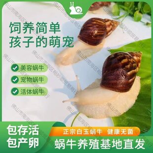 ΁ţ���l�W���^�p����[������ֳ�����l