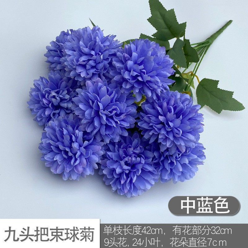 Nine -headed blue chrysanthemum blue