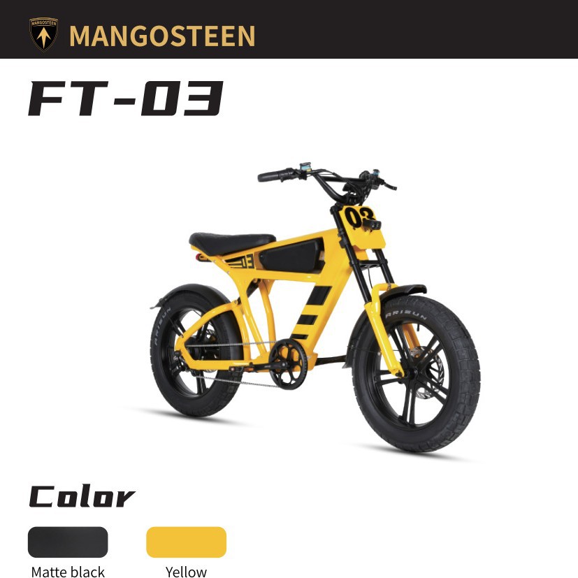 Bicicleta eléctrica de montaña transfronteriza FT - 03 EBIKE 750W / 1000W vehículo eléctrico