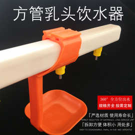 跨境专供水线方管饮水器鸡用笼养家禽养殖乳定制加工乳头饮水