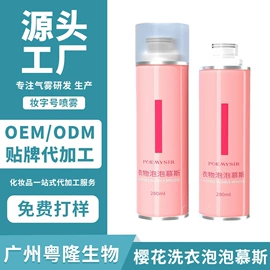 摩丝啫喱;头发免洗喷雾;个人护理加工