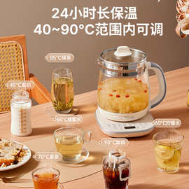 小熊养生壶YSH-D20F3大容量煮茶壶多功能家用烧水壶办公室煮茶2L