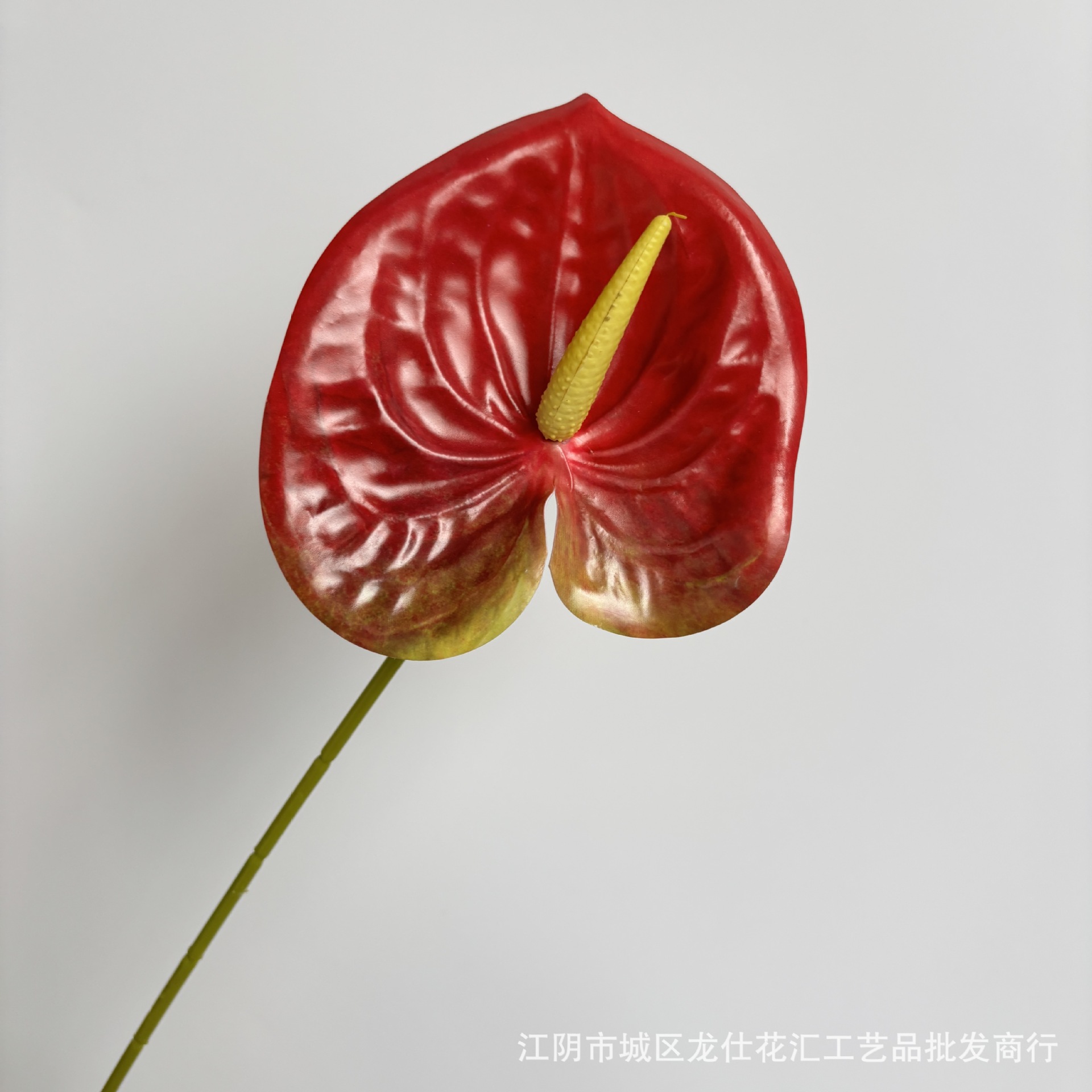 작은 손바닥은 정말 빨간색이다