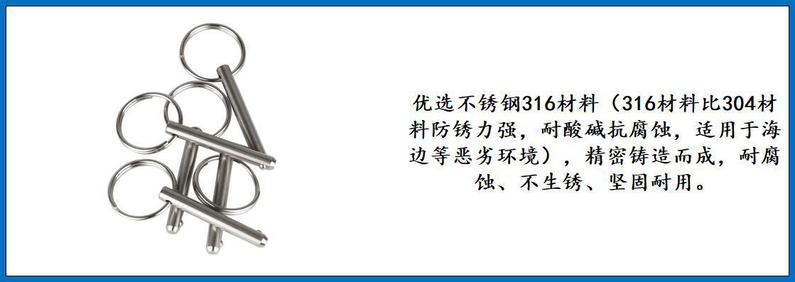 ZB7603拉环弹珠销 细节图-1.jpg