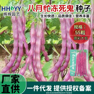 �F؛����æ�������ļ����t�ܶ��o��ܿ����ܿ��ԭ�b�ļ����ǷN��