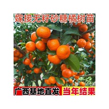 ���ڼ޽ӟo��ɰ���������Ե��ԟo��ɳ�ǽ��Ϸ����������箔��Y��