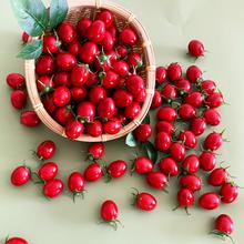 仿真番茄水果假圣女果模型小西红柿超市橱柜店铺展示拍摄道具