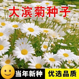 ��I�շN����ʾջ��N���ļ��׷N����̨ͥԺ���⻨�ܻ��N��