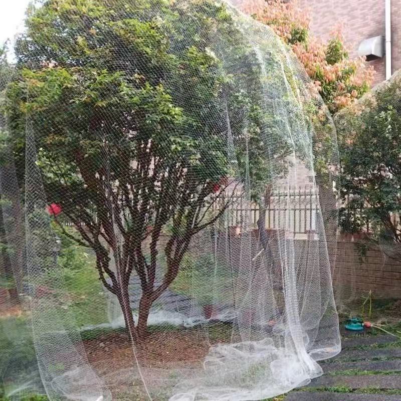 微信图片_20250410142829