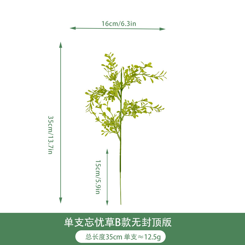 Versión sin tapa de un solo Wang Worry Grass B