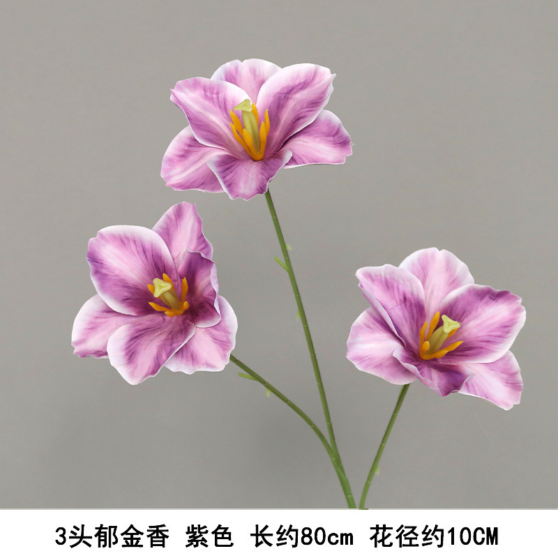 새로운 세 머리 튤립