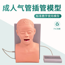 人体气管插管训练模型（带报警）成人口鼻气道梗塞急救演示模拟人
