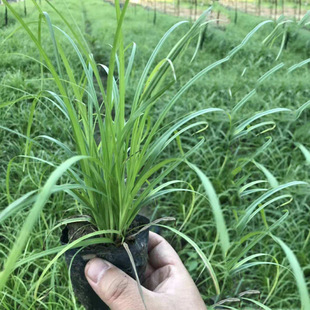 ���l �������ݱ�ֲ���ļ����G �^�p�� ̦�ݷN�Ӛgӭӆُ