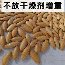 长粒美人甲椒盐味没人指甲南瓜子休闲坚果粒粒饱满厂家批发