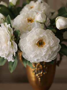 A�����ɫ|�����ɫĵ������ș���͏d�������P�͏d�����[�Ż�ˇ