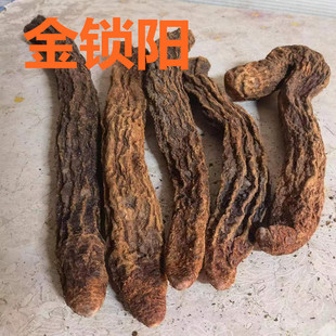 �iꖰ����Ƹ��C���ݽ��i����l���]