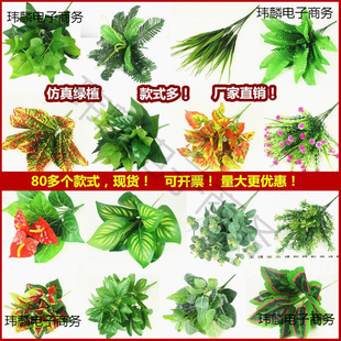 ����ֲ��Gֲ���ٻ����҃����ⱳ�����b��G�}�����řڻ�