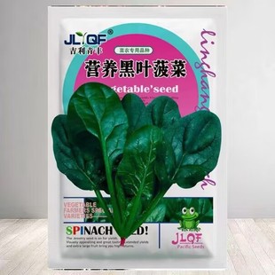 �I�B���~���˷N�Ӵ��ﶬ���ļ����N�ͺ��͟��A�~�������߲˷N��