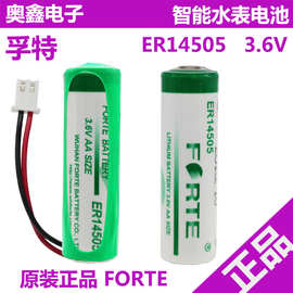 孚特ER14505锂电池3.6V智能水表电表燃气表巡更棒流量计 容量型
