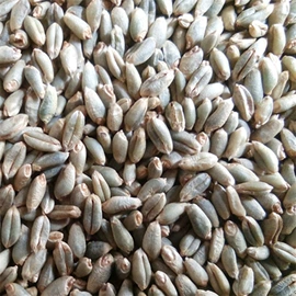 豆类;麦类;面粉