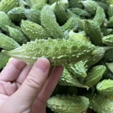 ����ֱ�l�Բ����С��ϰ]�ϸ���Ұ��̩�����r�����ɽ������l