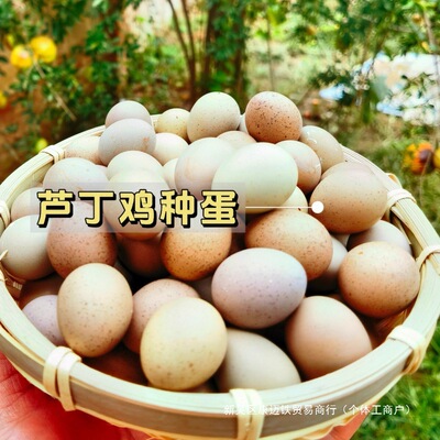 Инкубация белая плитка серая курица сетка оплодотворение может быть мини-мутированным Курица Людин Немецкая красная курица Курица Рудин оптом яйца инкубационные яйца