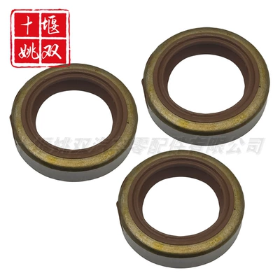 Oil seal engine system accessories high
