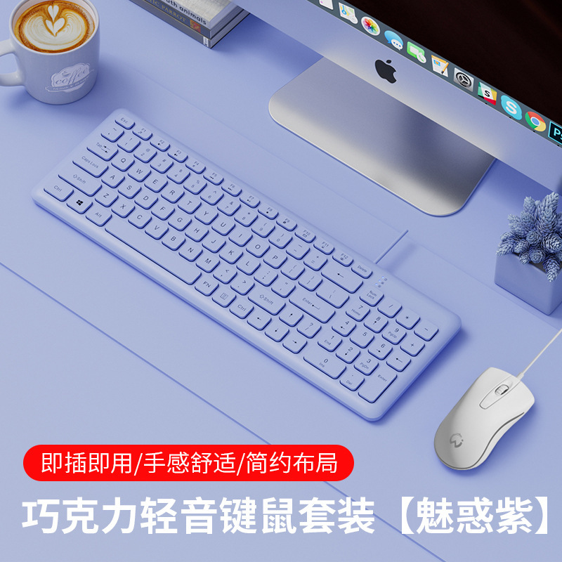 有線キーボードとマウスのセット デスクトップ ノートパソコン 外付け オフィス専用 女の子向け ピンク ゲーム用 USB|undefined