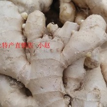 湖北省广水土特产农家自种本地小黄姜生姜土姜一斤16元拍4斤包邮