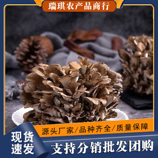 ���׸�؛��ϻҘ仨��؛500g�خa���r���׾����Ģ����Ģ�Ҙ乽