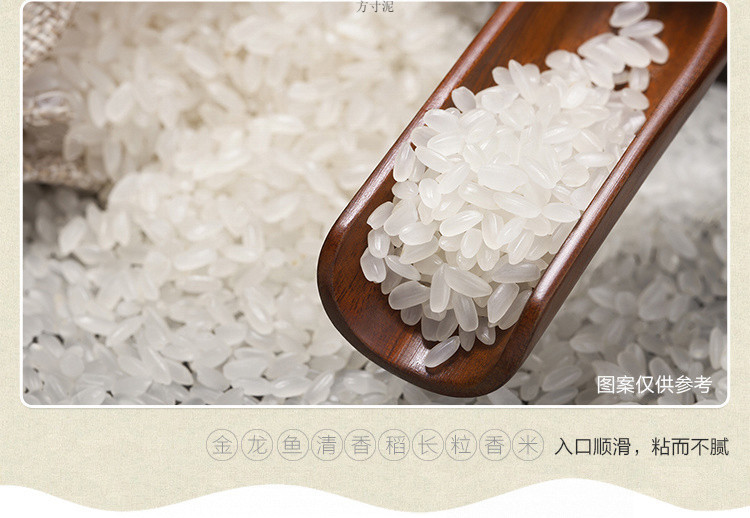 925789da-1fcd-42e3-bdc4-a584c35d413e.jpe