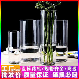 直筒玻璃花瓶透明富贵竹马醉木水培植物器皿醒花高级感客厅落地摆