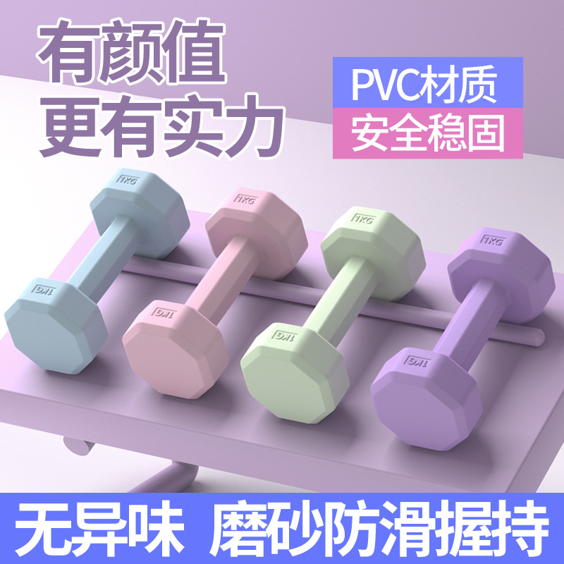 Dumbbell Women's Fitness Equipment Home Barbell Kettlebell Kidsren's Female Small Dumbbell 2kg Pair Exercise Strength Training