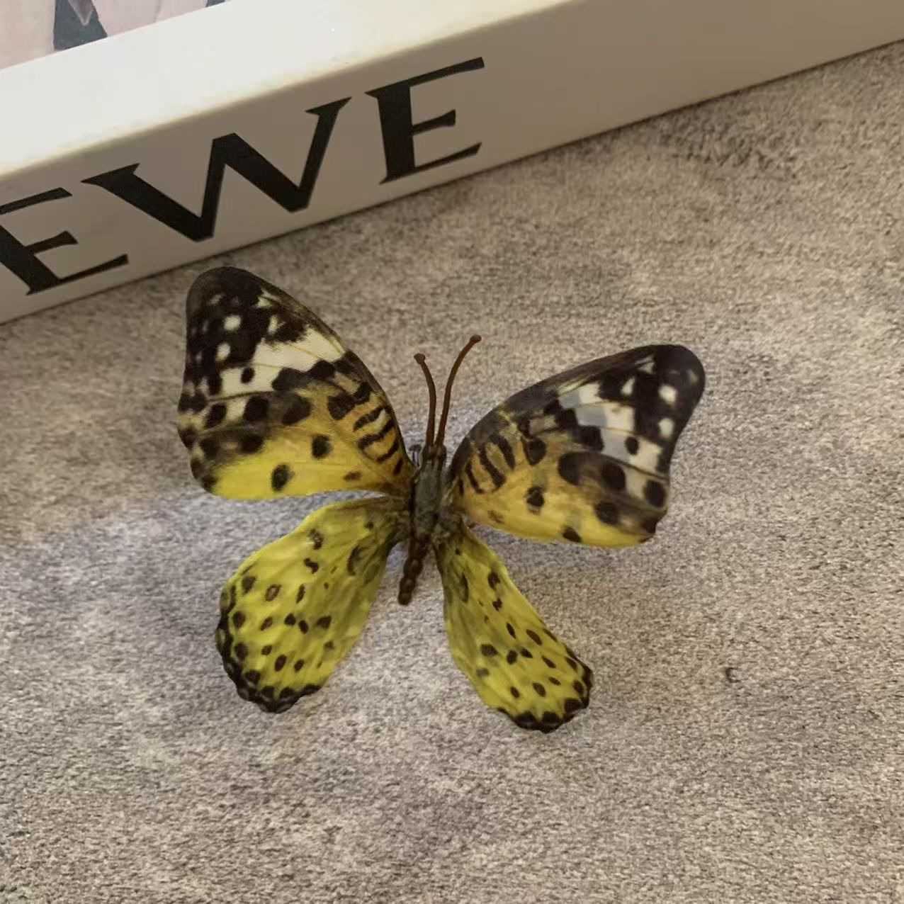 노란색과 검은색 반점