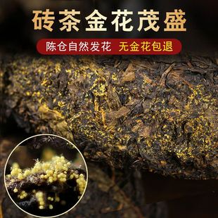 �ڲ���ϰ��� �����ڲ���ֺB��u�����ڰ������~1kg�������l