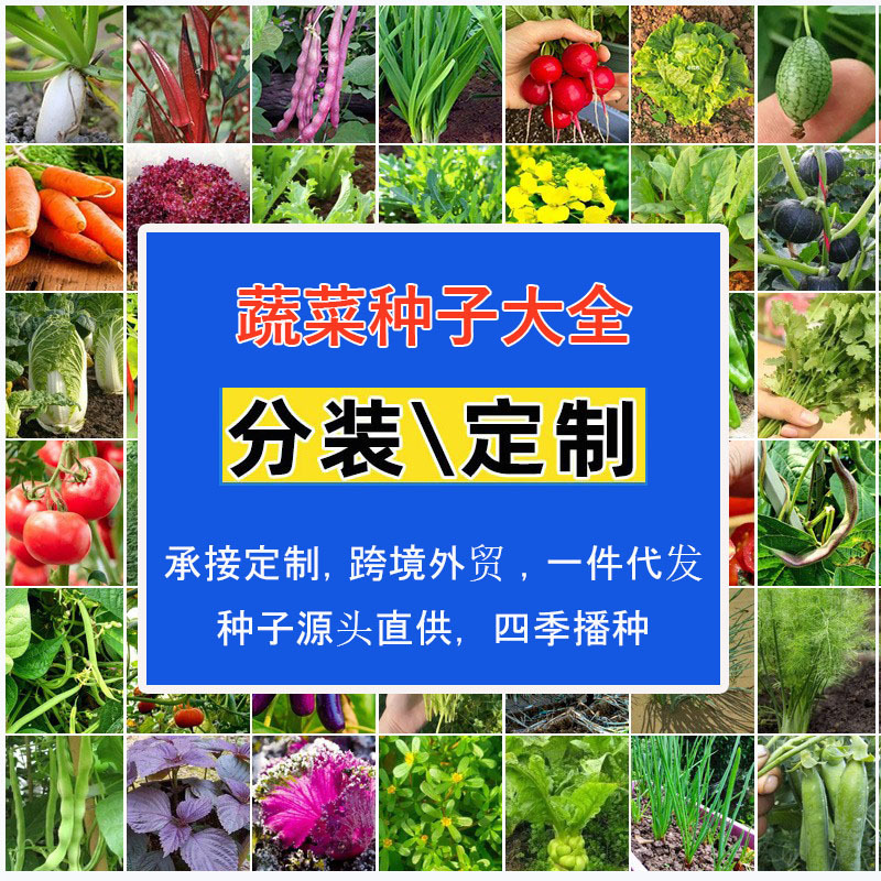 跨境透明小包装糖果包种子草花蔬菜水果花卉=儿童礼品赠送学生玩