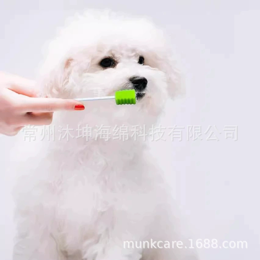 Встряхните ту же кошачью губку для чистки полости рта