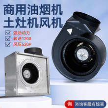 ͟CŚxo֌LCu݆CоNLC