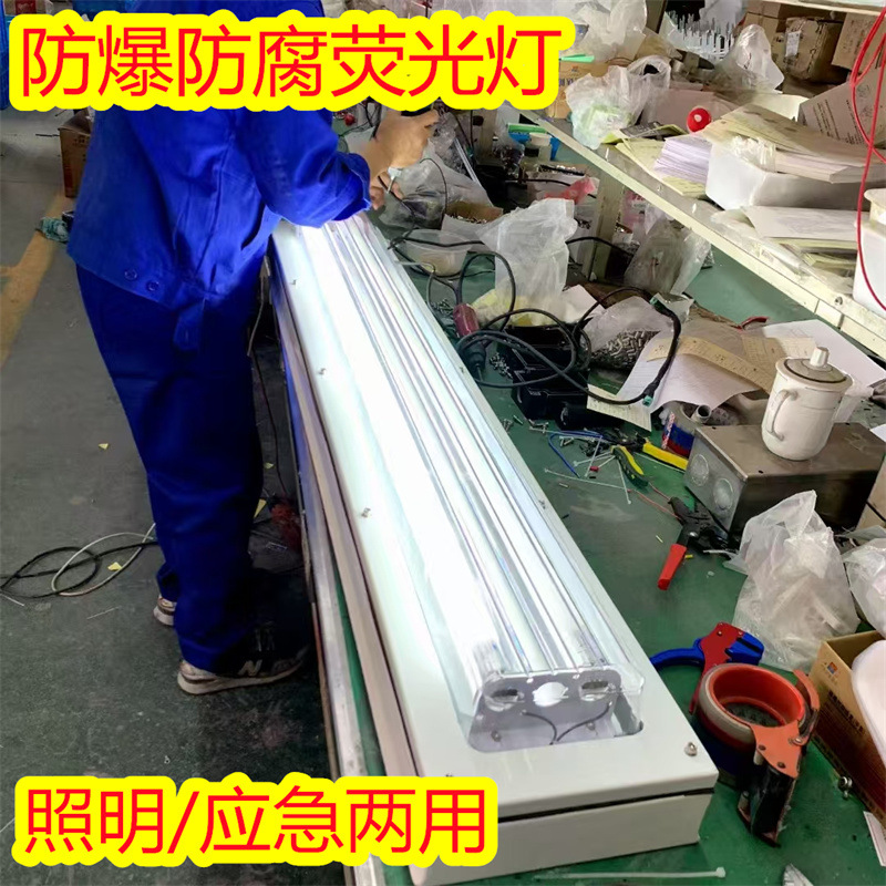 供应腾达双管防爆防腐全塑荧光灯照明应急两用型30wled灯