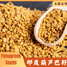 ӡȺJFenugreek Seed ɫxJ ؛l