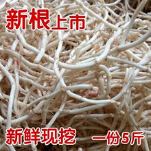 ���]�~���۶������r�۸��F�ڹ������r���ԷN�߲˛����