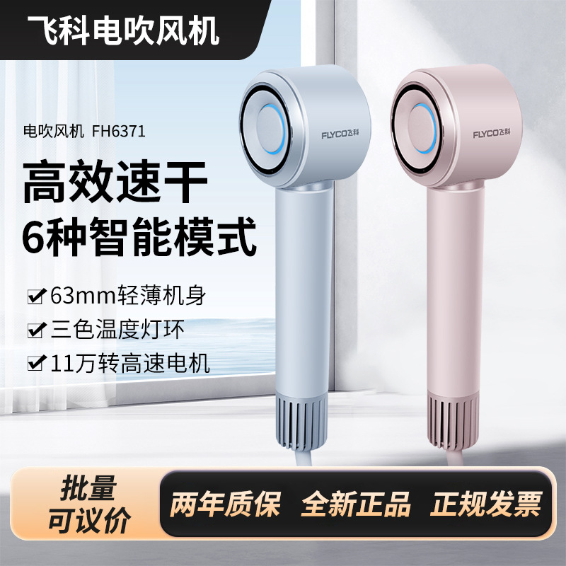Feike Hair Dryer Fh6371 Household 1600W Portable Quick-Drying Negative Ion High-Speed High-Wind Hair Dryer