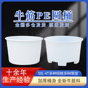 ţ�����ϲ�܇Ͱ5���A��2������������1���D�\����1000L�Ӻ�AͰ