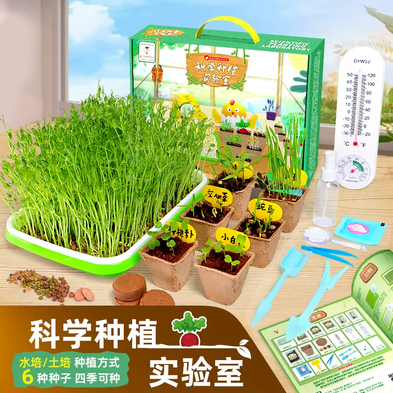 蔬菜种植儿童幼儿园迷你diy手工玩具制作科学实验套装学生发芽菜