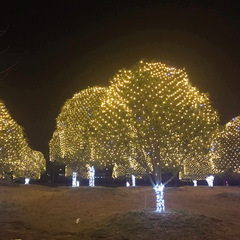 工廠太陽能LED燈串 聖誕節日 婚慶燈光裝飾燈 戶外裝飾漁網燈