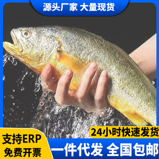 ���S���~���r�r�����S�~�r�������~���r�S�~���rˮ�a�������l